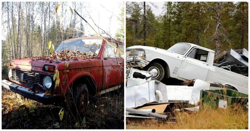 В финском лесу нашли десятки раритетных советских автомобилей