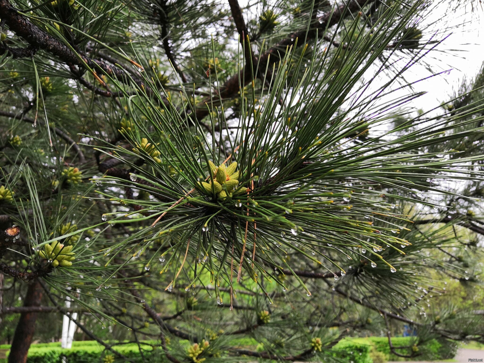 Естественная красота природы