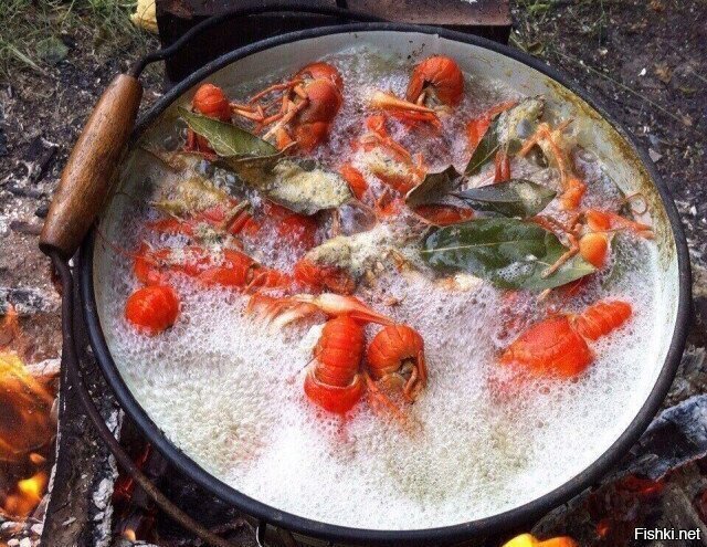 Солянка