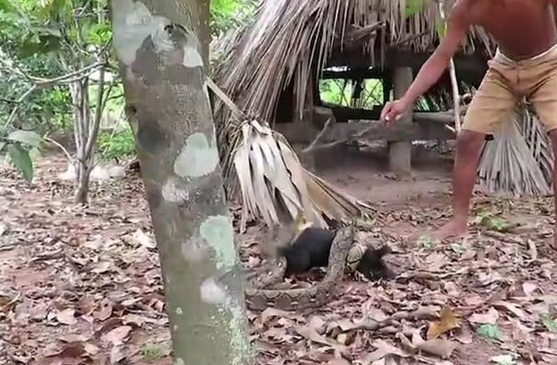 Парень спас собаку от змеи