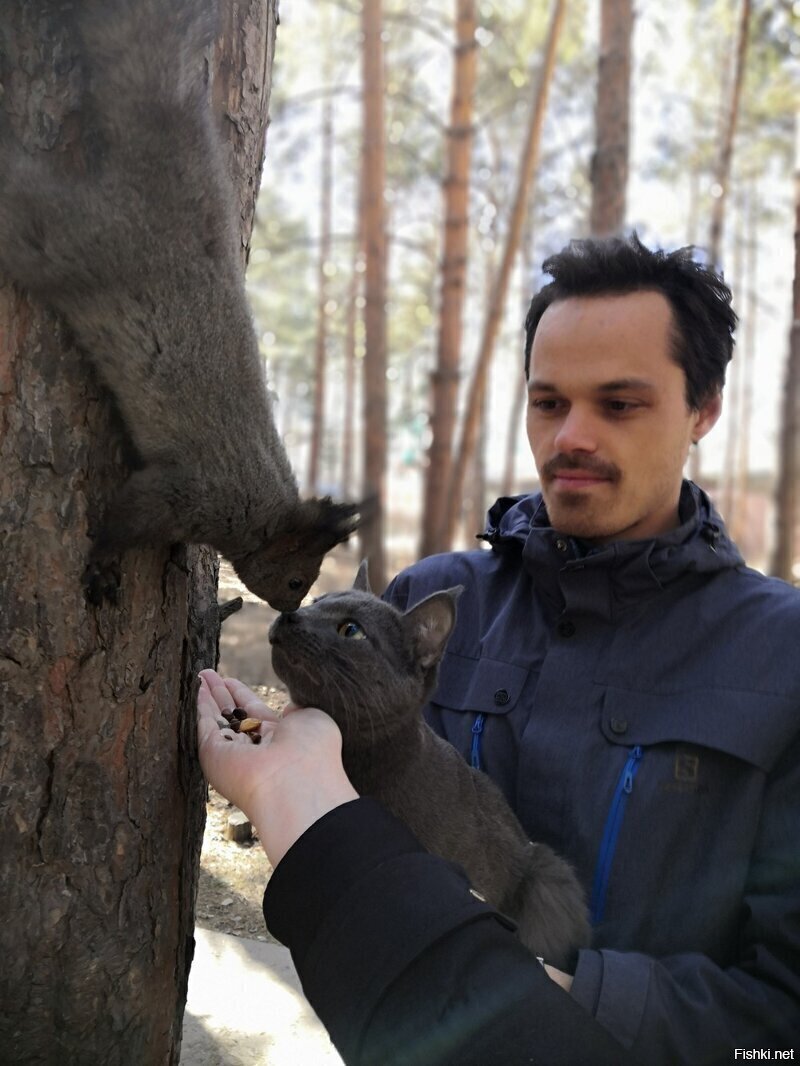 Солянка