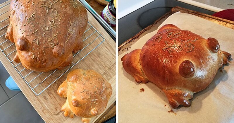 Пользователи соцсетей делятся своими попытками испечь модный хлеб-лягушку