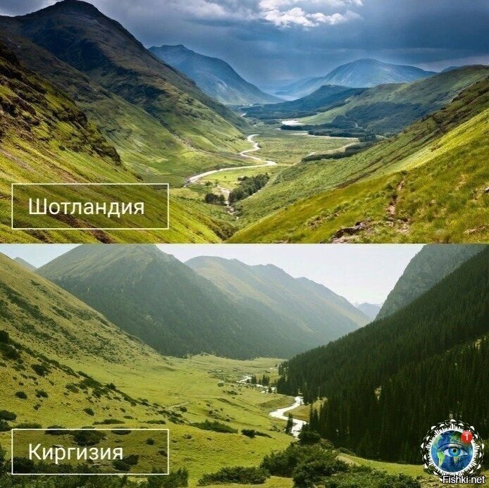 Солянка