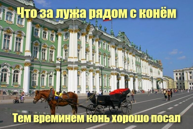 Что за лужа рядом с конём