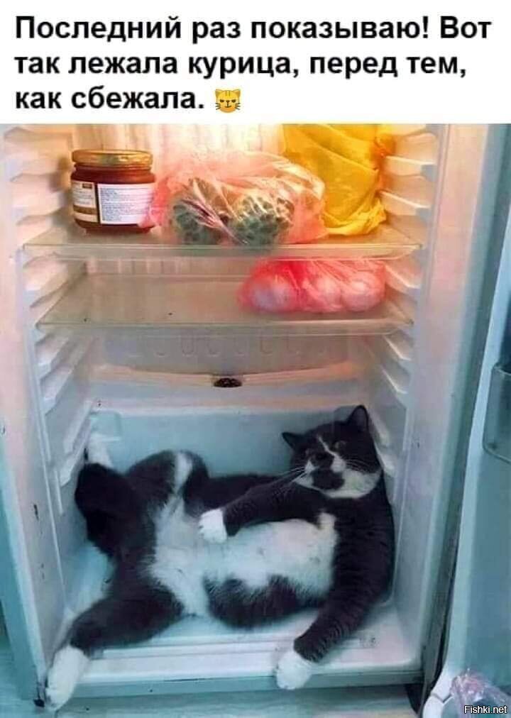 ну как не поверить