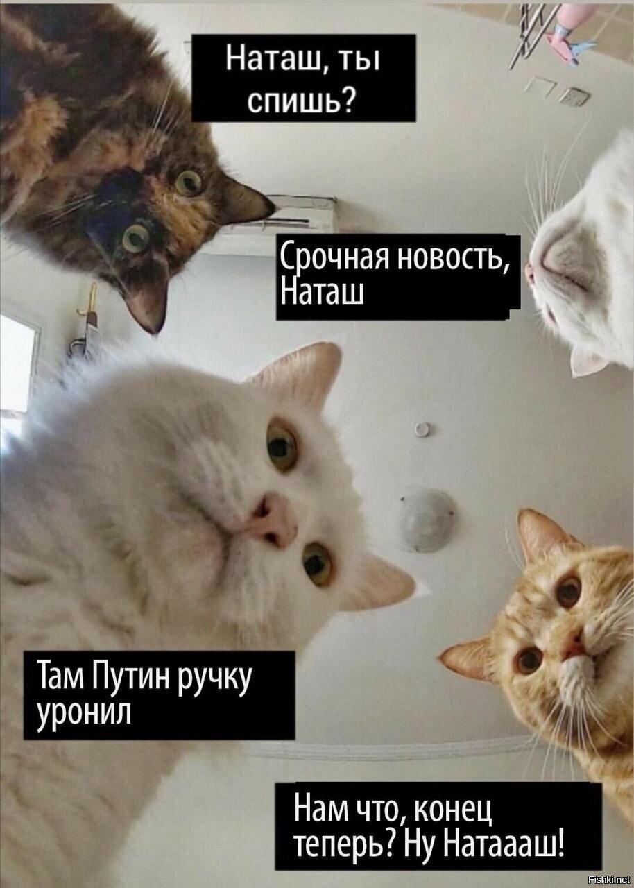 не, ну а чё он так