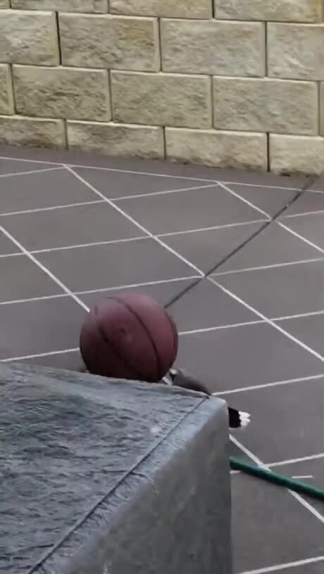 Первые шаги в баскетболе