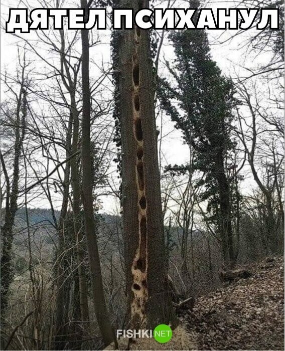 Смешные картинки и не очень