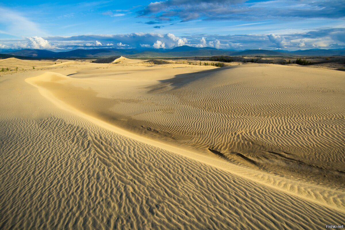Чарские пески - пустыня в Сибири