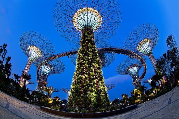 Gardens by the Bay: футуристические прибрежные сады в Сингапуре