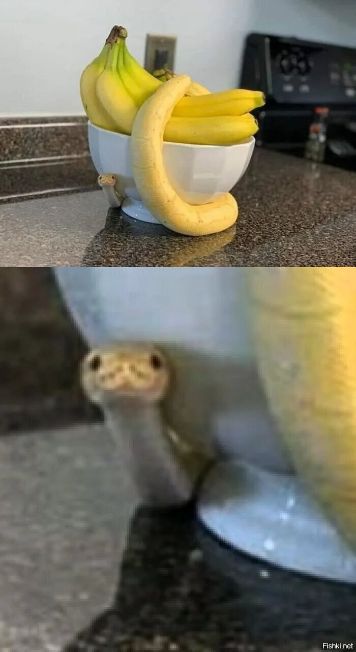 Угощайтесь