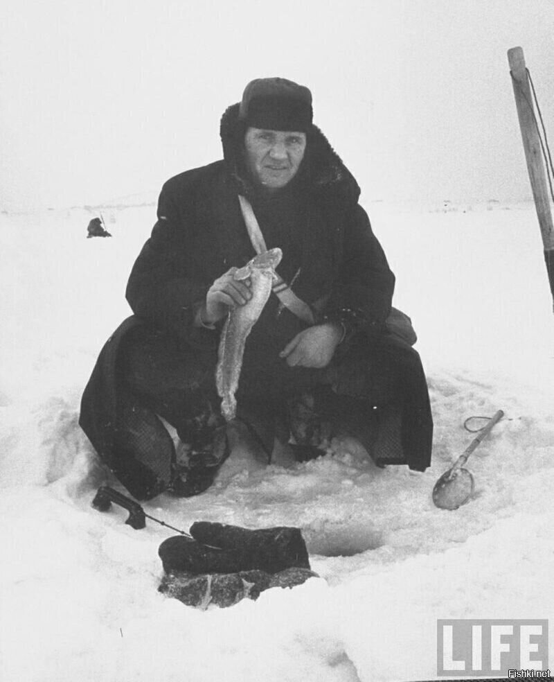 Четверг - рыбный день