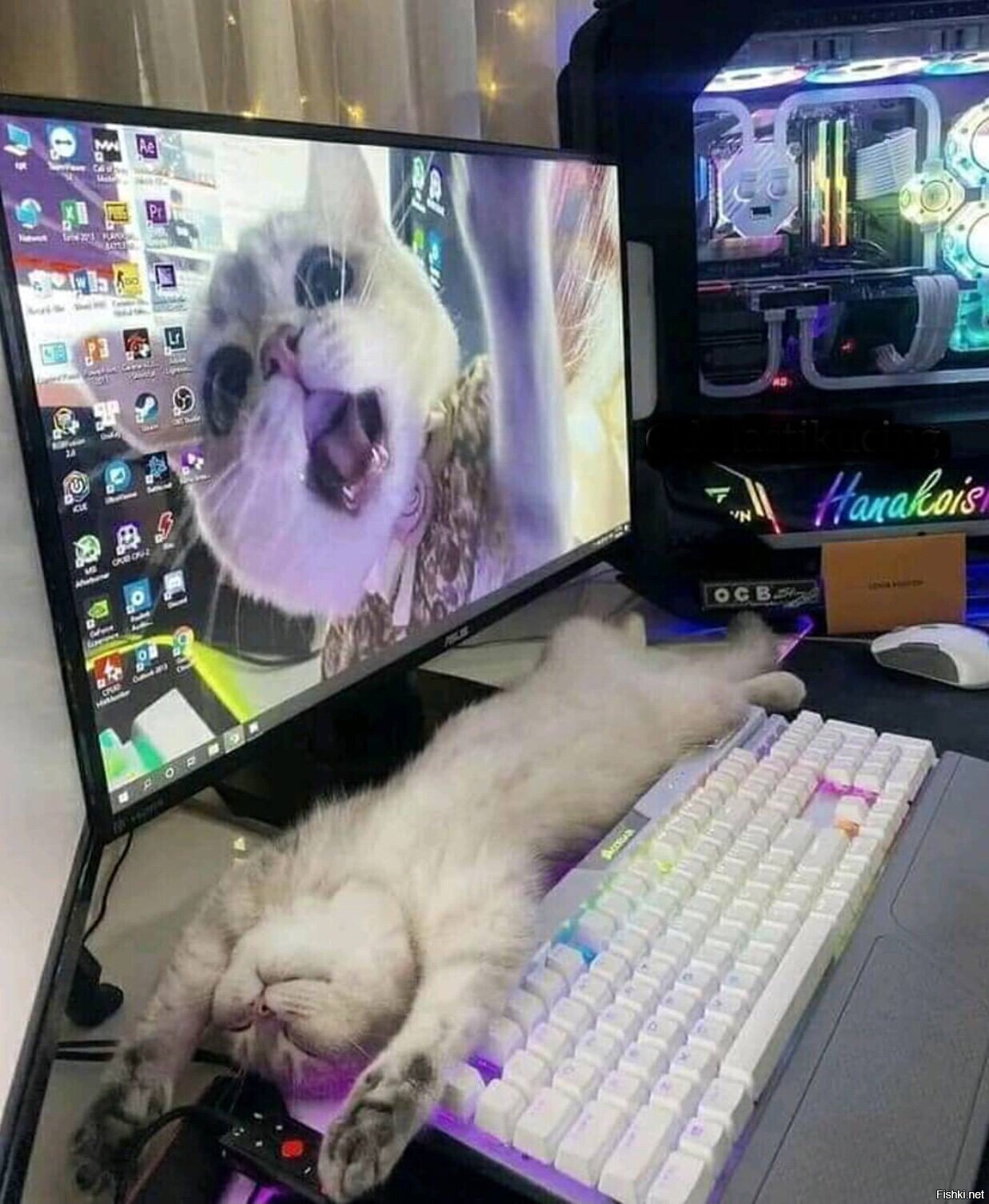 Солянка