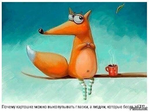 Солянка