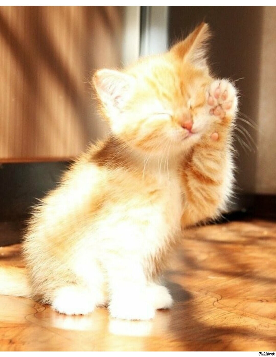 Доброе утро