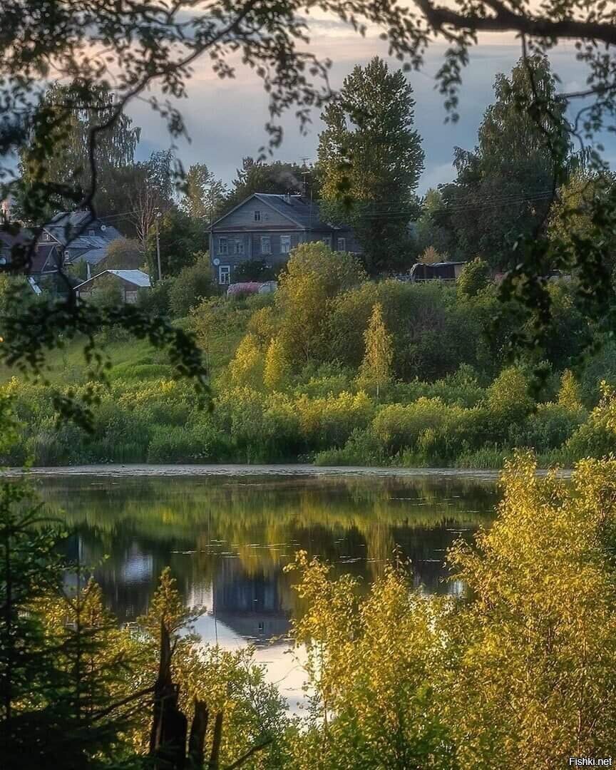 Солянка