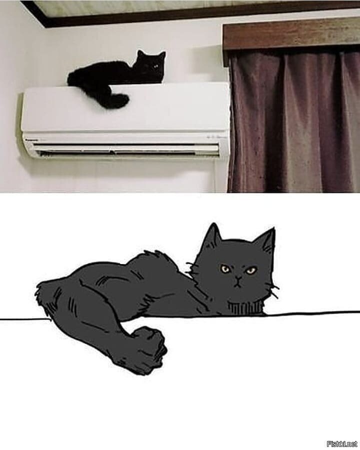 Лапки
