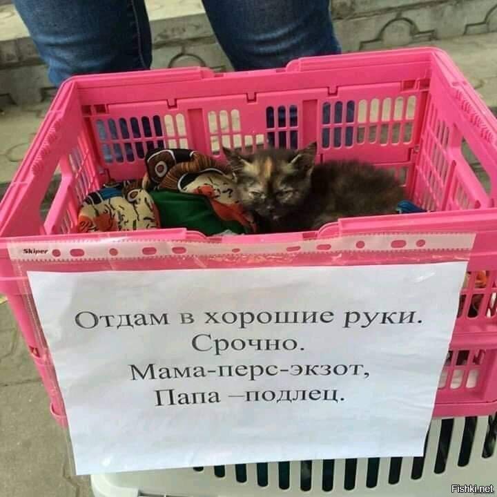 вот з папу было обидно