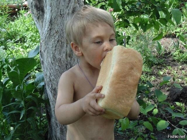 Генетическая память