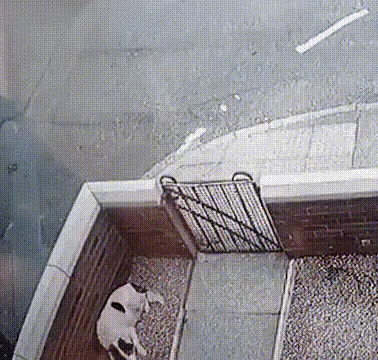 Пофиг все