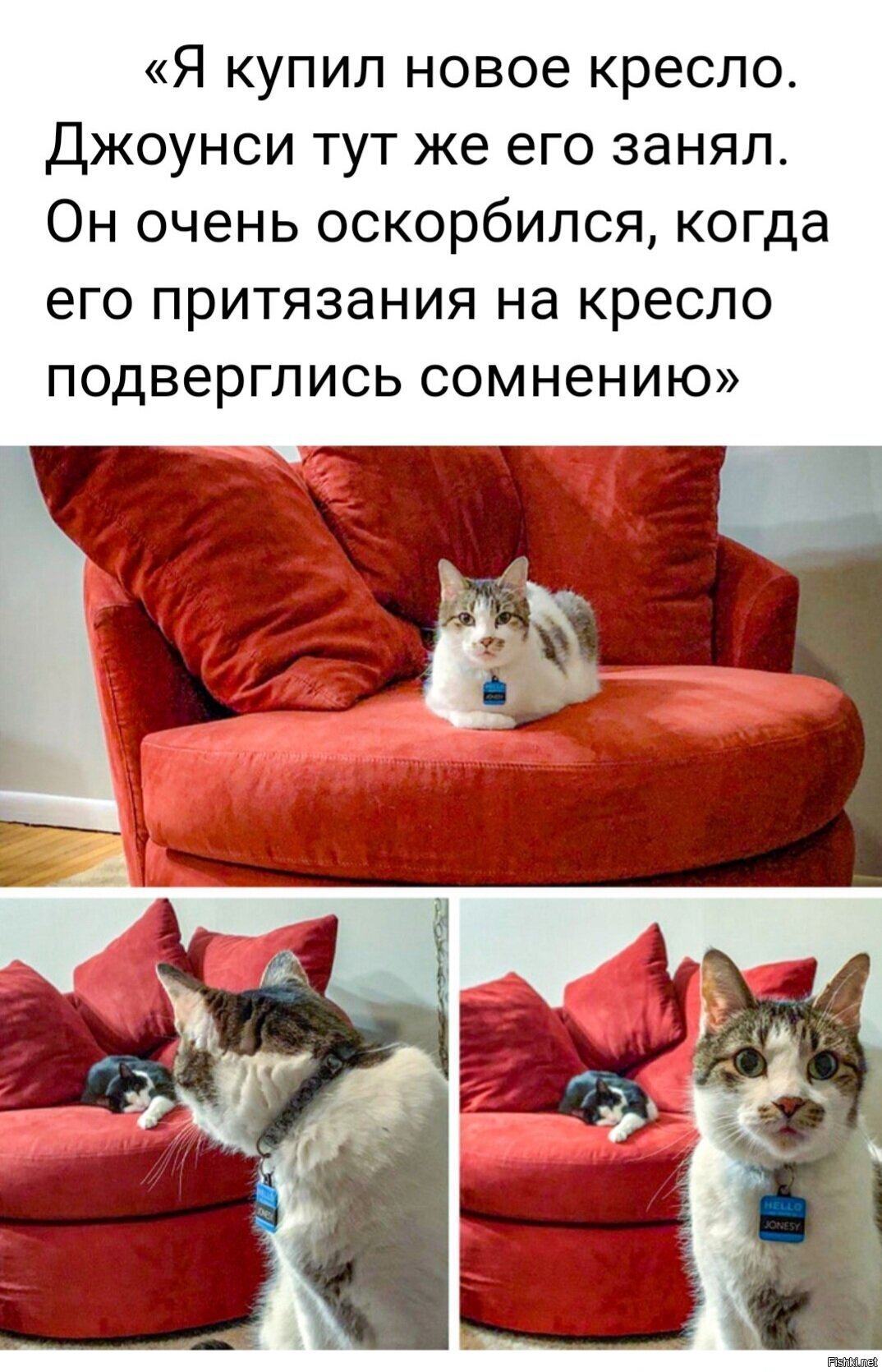 Солянка