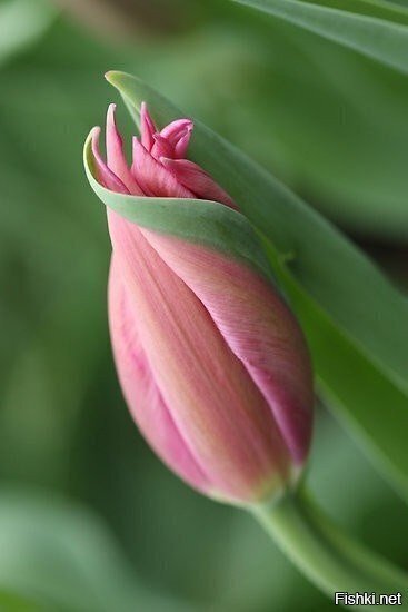 и почти не бездна,