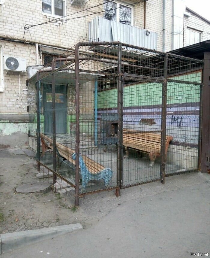 Бабушки строгого режима
