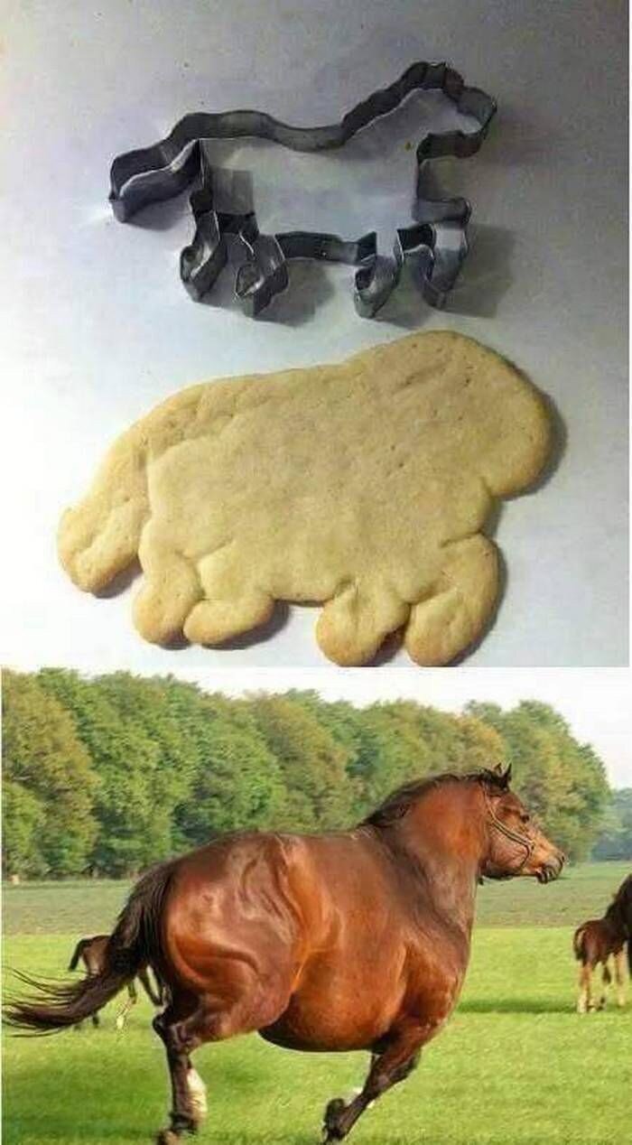 Лошадки бывают разные
