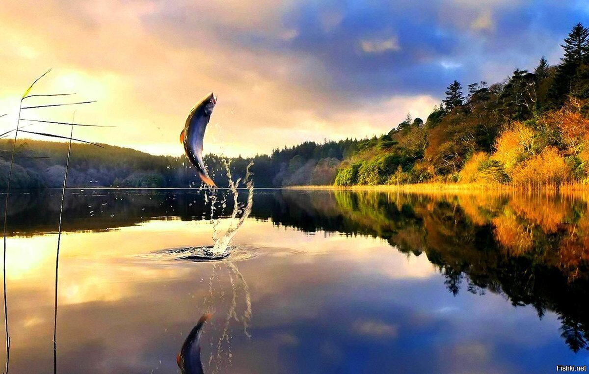 8 июня,  духов день