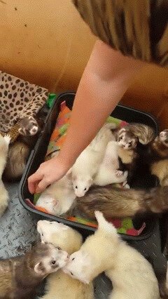 Состояние - пора на работу