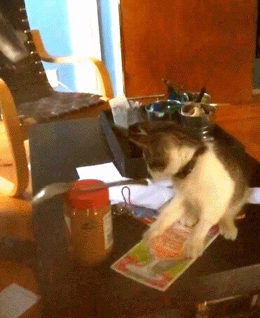 Брыньь, брыньь