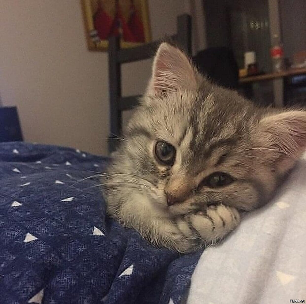 Солянка