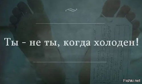 Немного черного юмора на ночь )
