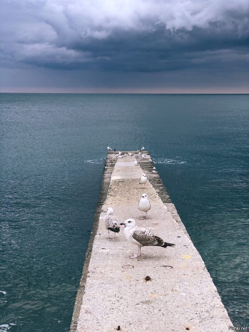 Крым, Алушта, июнь 2020