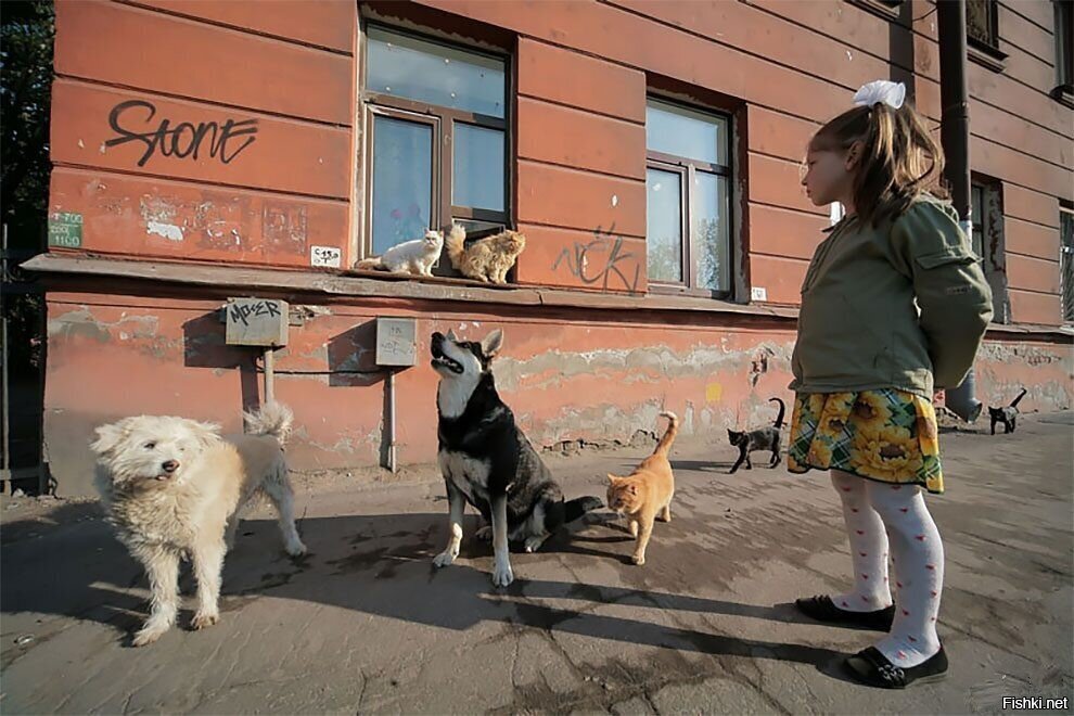 Банда