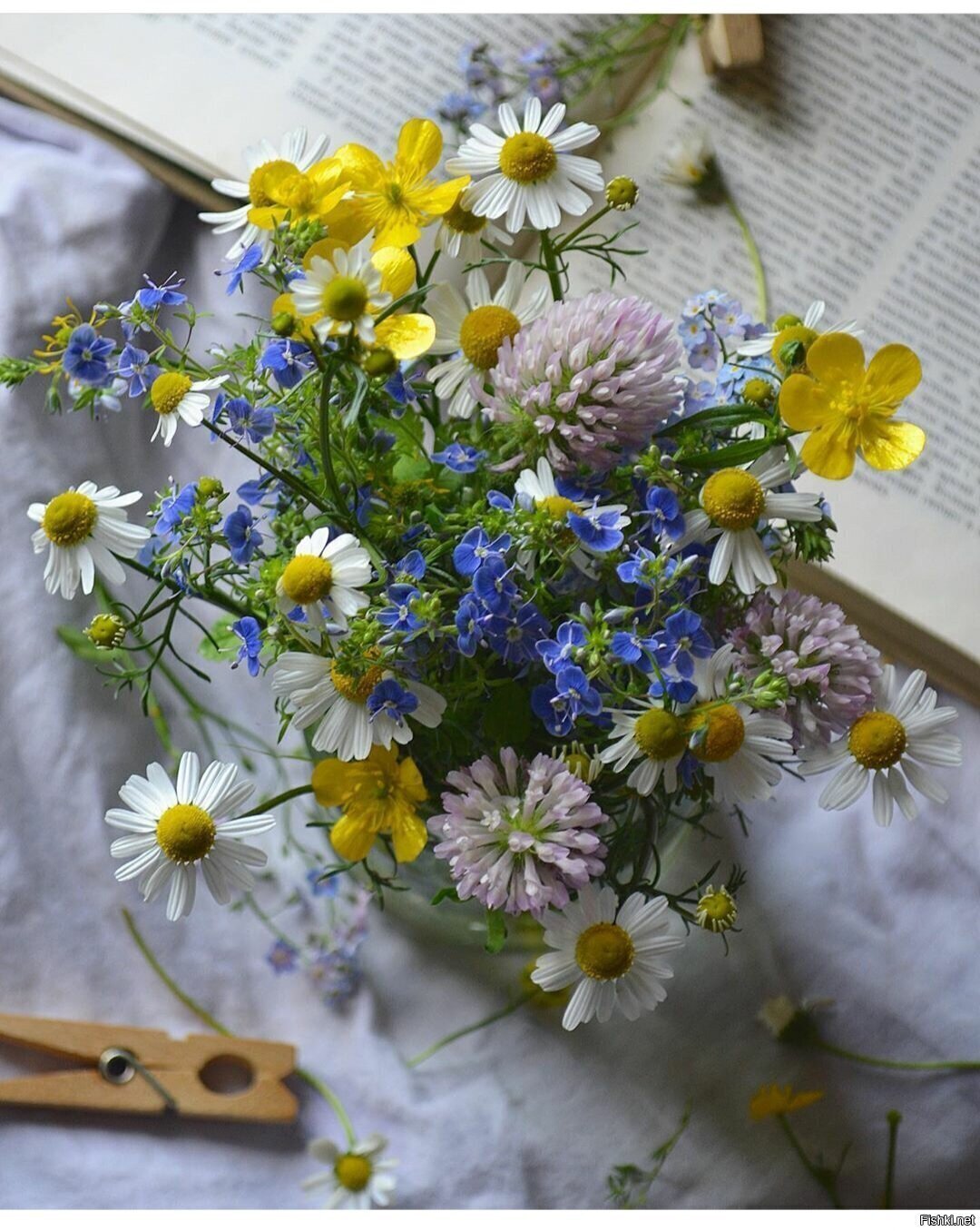 Солянка