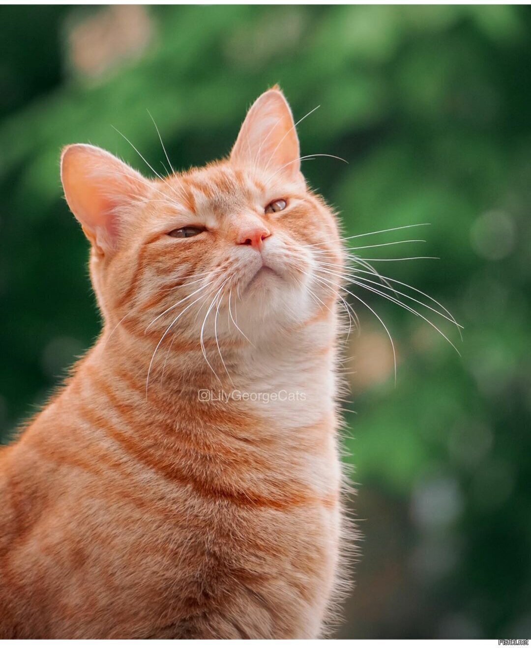 Доброе утро