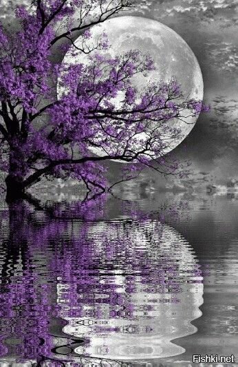 Доброе утро