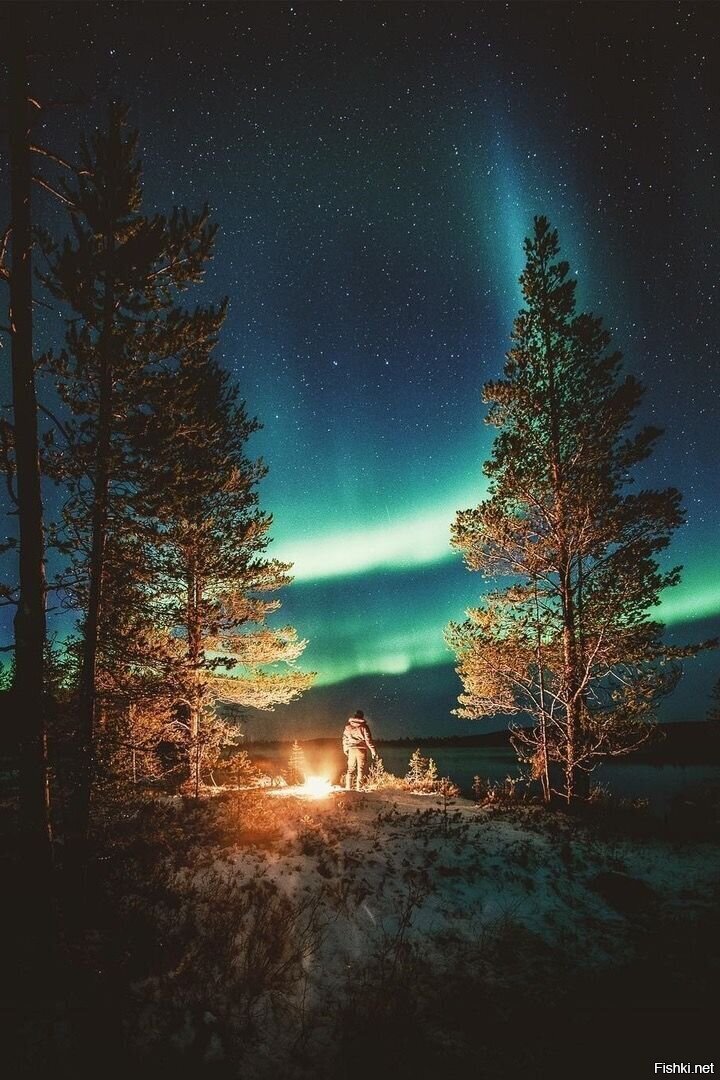 Солянка