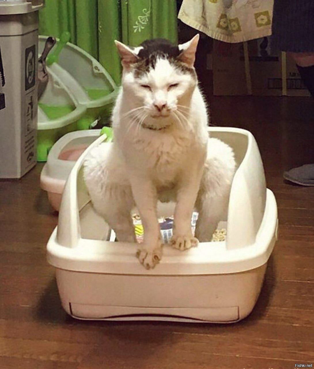 Солянка