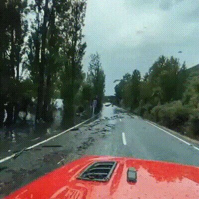 Надежный водку забыл