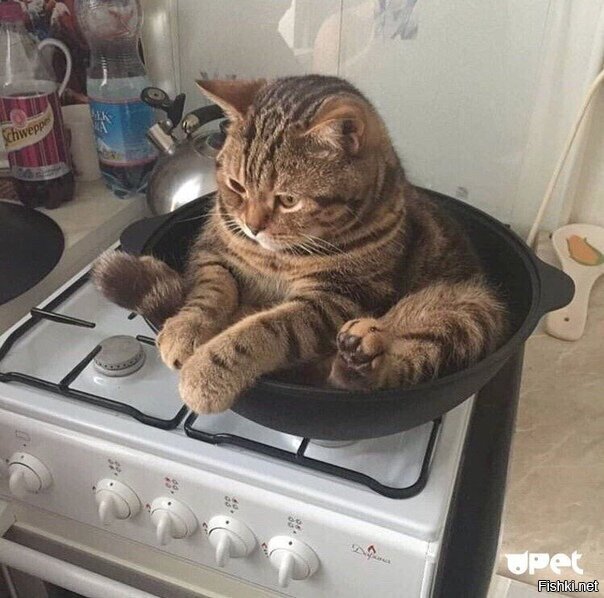 Солянка