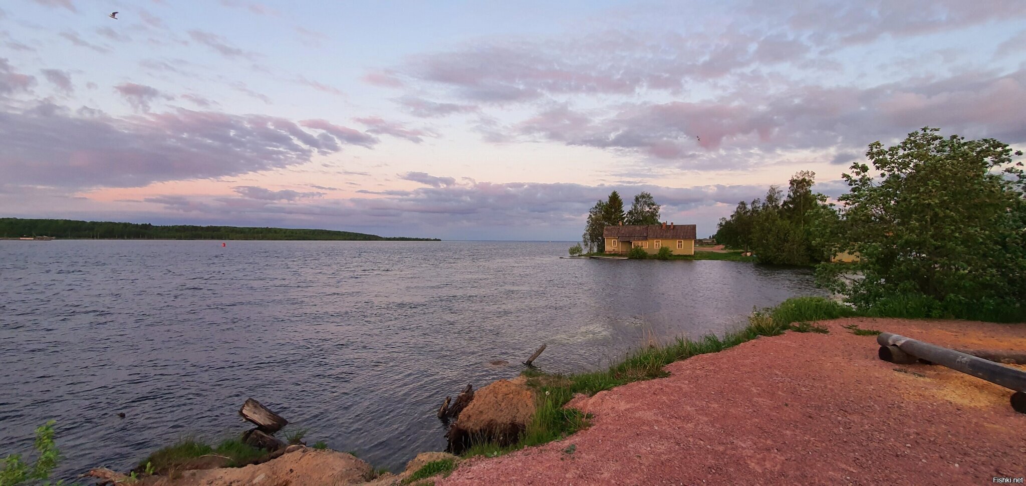 Свирь, Онега и офис рыбнадзора