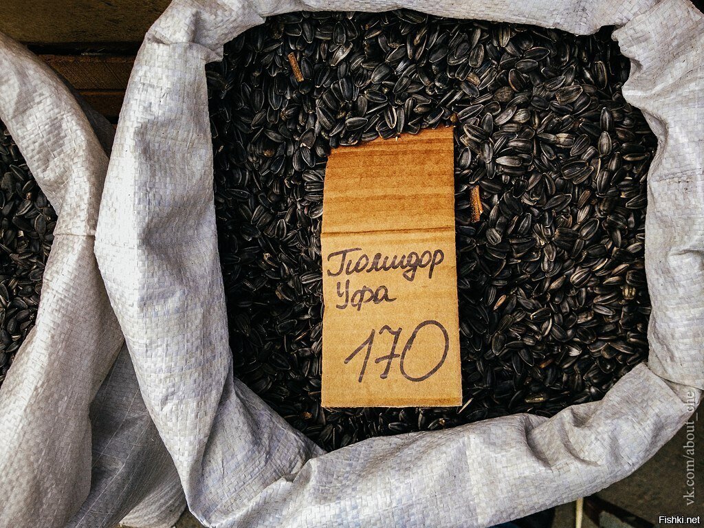 Солянка