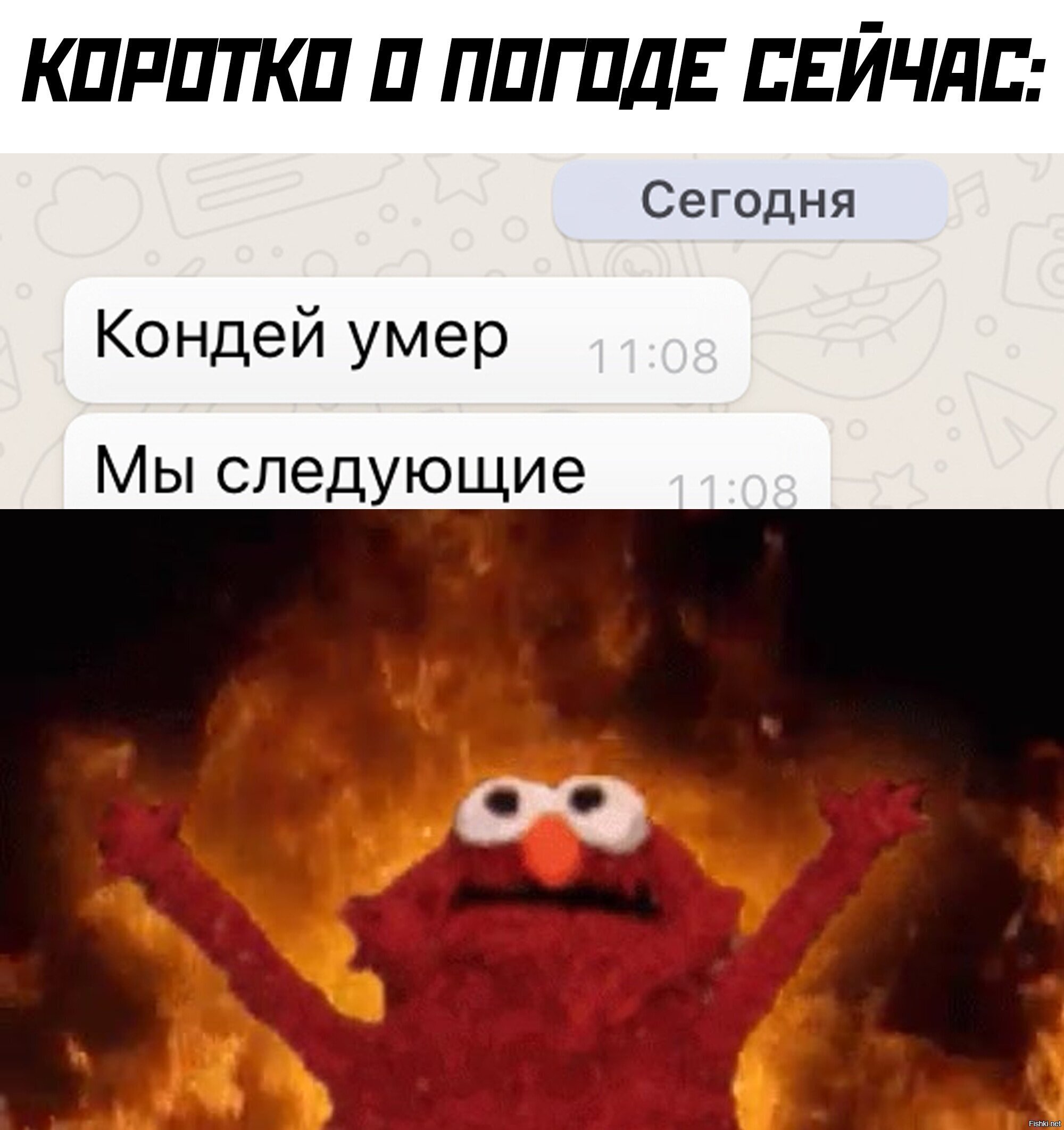 Солянка
