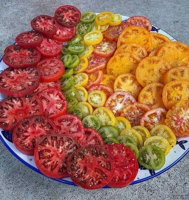 Солянка