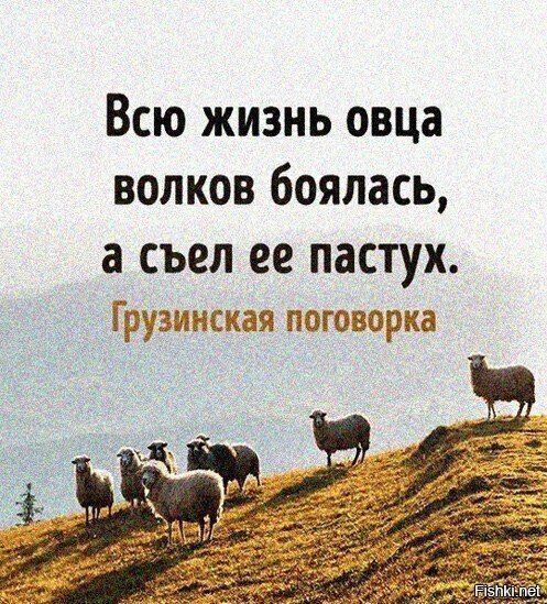жиза
