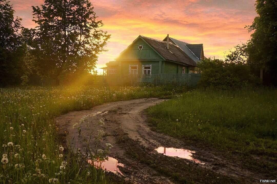 Солянка