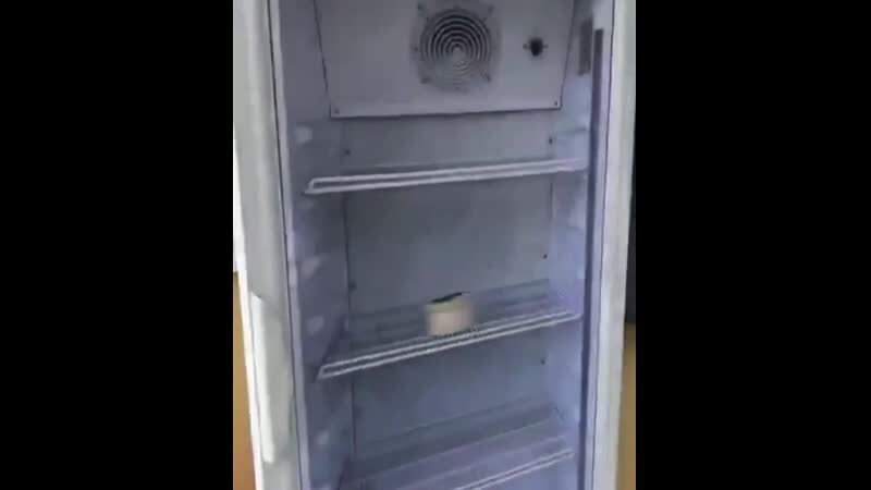 правильный холодильник