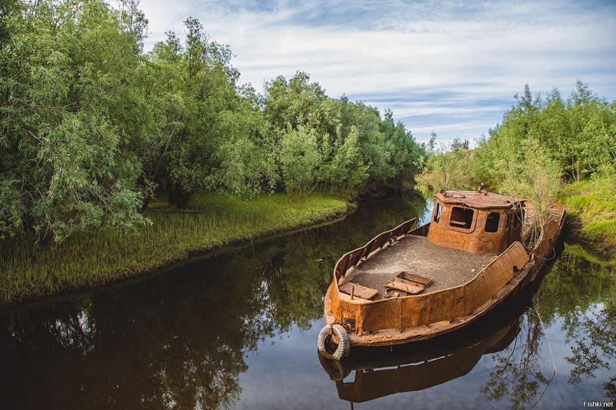 Солянка